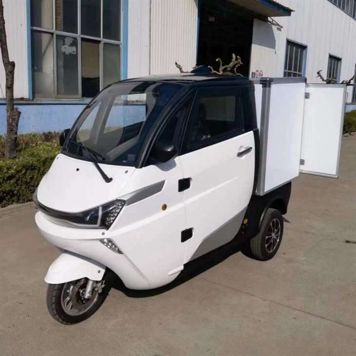 EEC L5e 3-wheel Urban Using J1-C Electric Mini Cargo Box Car EEC L5e 3-wheel Urban Using J1-C Electric Mini Cargo Box Car