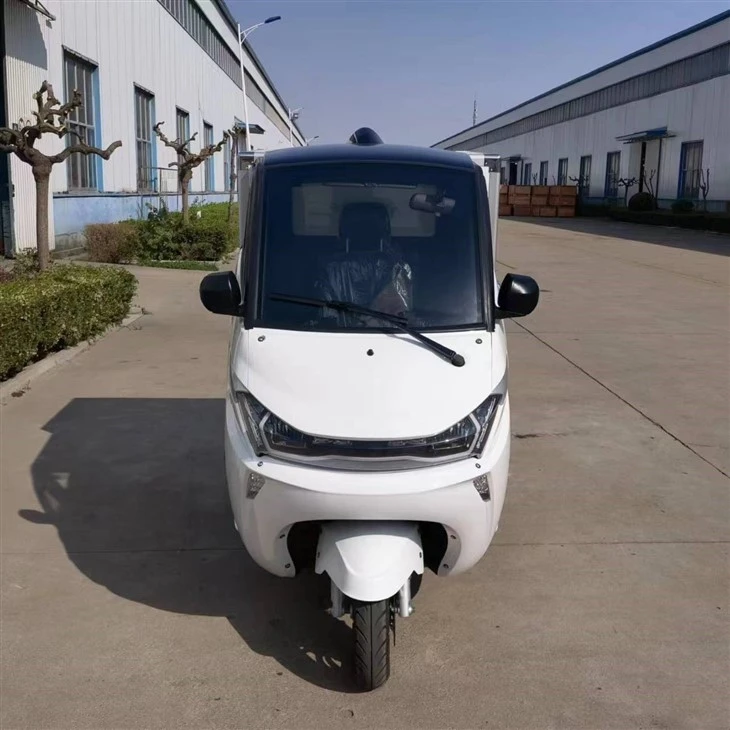 EEC L5e 3-wheel Urban Using J1-C Electric Mini Cargo Box Car EEC L5e 3-wheel Urban Using J1-C Electric Mini Cargo Box Car